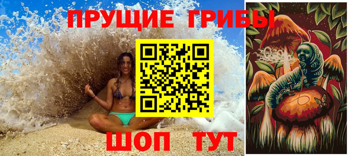 Галлюциногенные грибы MAGIC MUSHROOMS  Вход с VPN  Глазов  Галлюциногенные грибы Psilocybe 